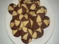 غريبة المنمرة